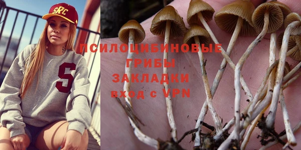 эйфоретик Алексеевка