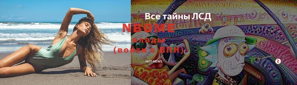 гидропоника Алзамай